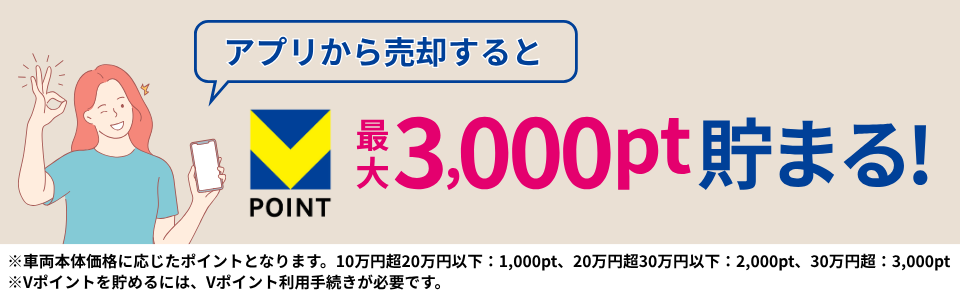 アプリから売却でvポイント際大3000pt
