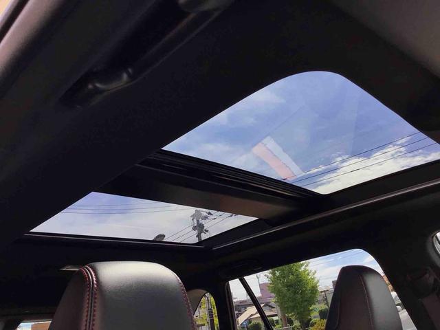 ＲＡＶ４　ＰＨＶ