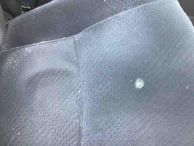 カローラフィールダー