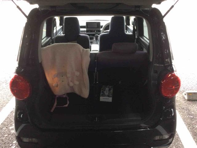 ピクシス ジョイ F