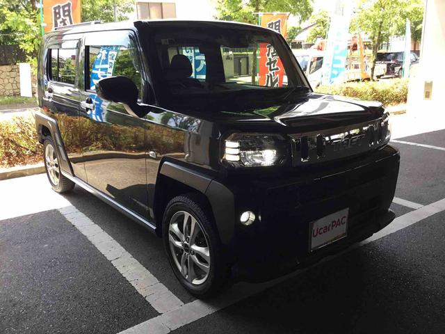 タフト