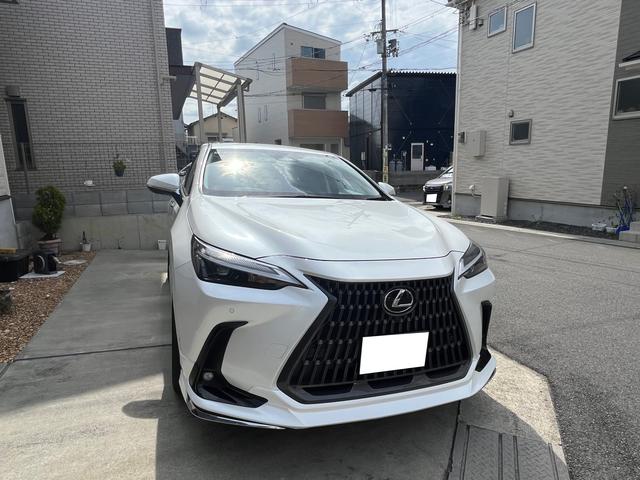 ＮＸ２５０